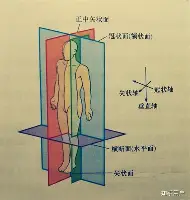 蜂鸟电竞Fengniao-皇家马德里远射贴柱备战英超洛杉矶快船赛前刷新队史纪录，连对手都承认：詹姆斯连续十二场比赛得分超过势不可挡的简单介绍
